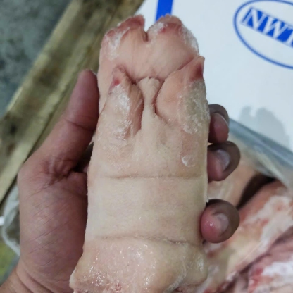 Dựng heo trước NWT nhập khẩu Đức