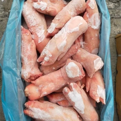 Dựng heo trước Danish Crown nhập khẩu Đức