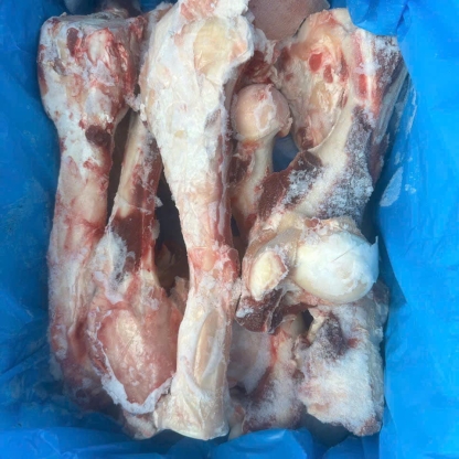 Xương ống bò đông lạnh Greenham nhập khẩu Úc