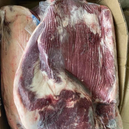Gầu bò úc Kilcoy 